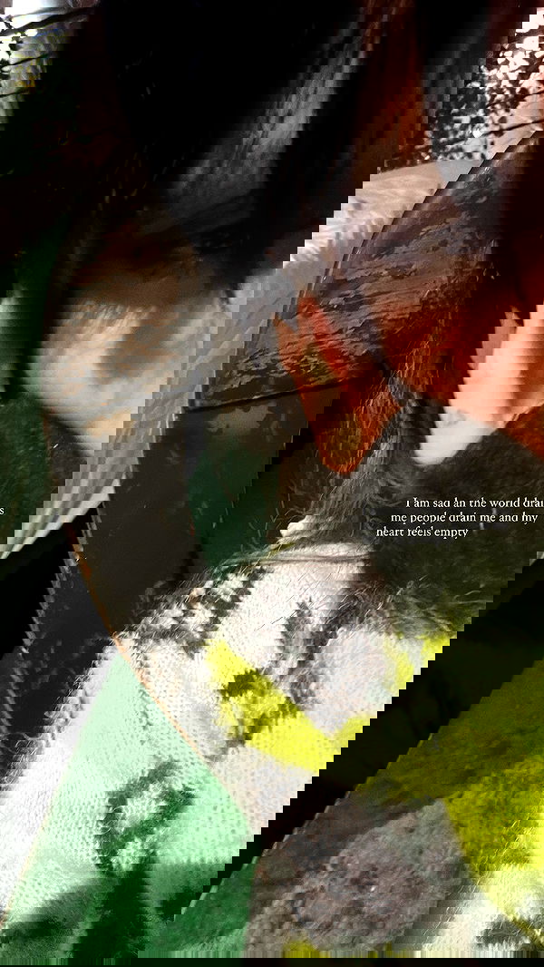 zommmbri image ~ Altpins