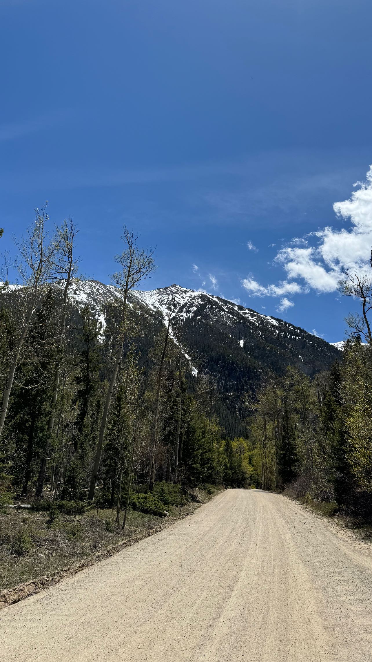 zommmbri instagram image archive image