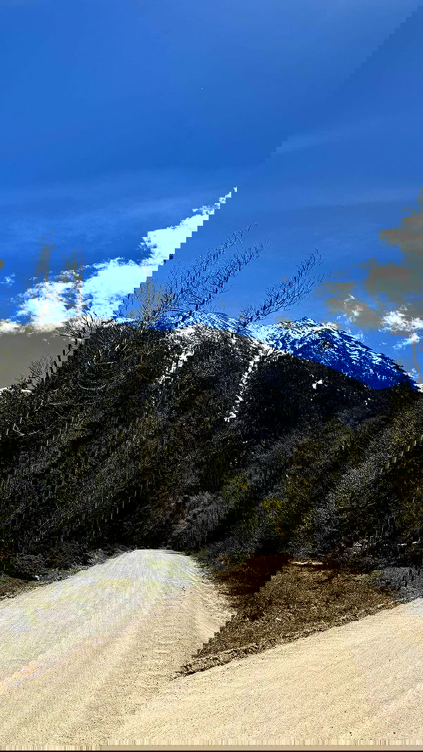 zommmbri image ~ Altpins