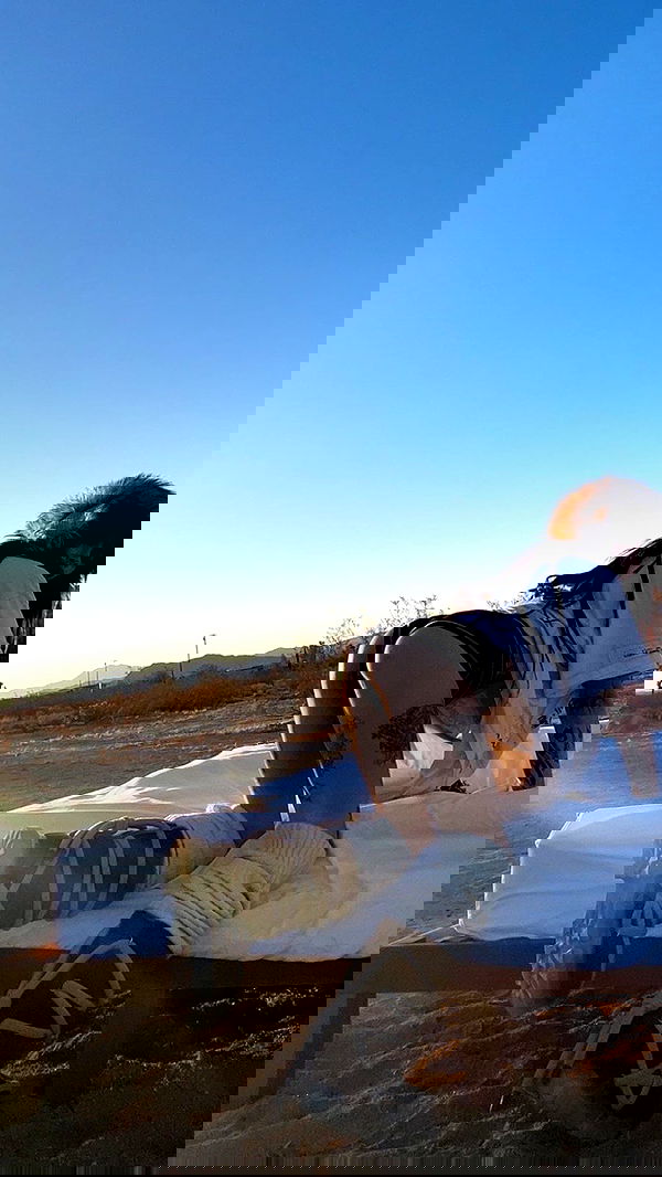 zommmbri image ~ Altpins