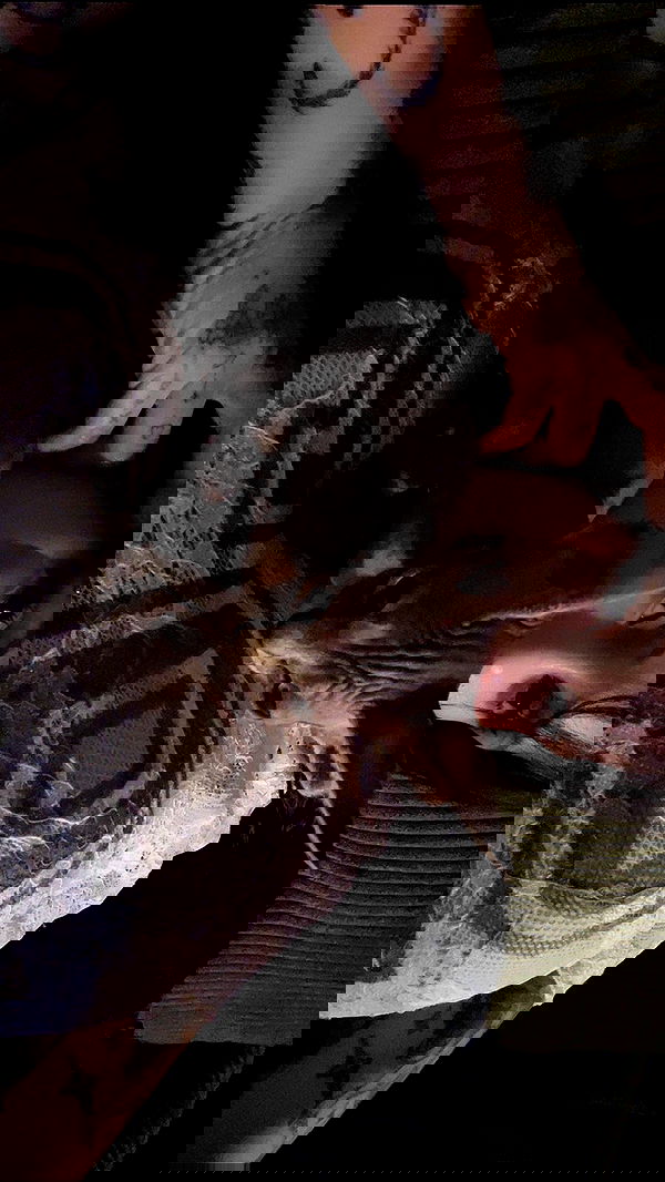 zommmbri image ~ Altpins