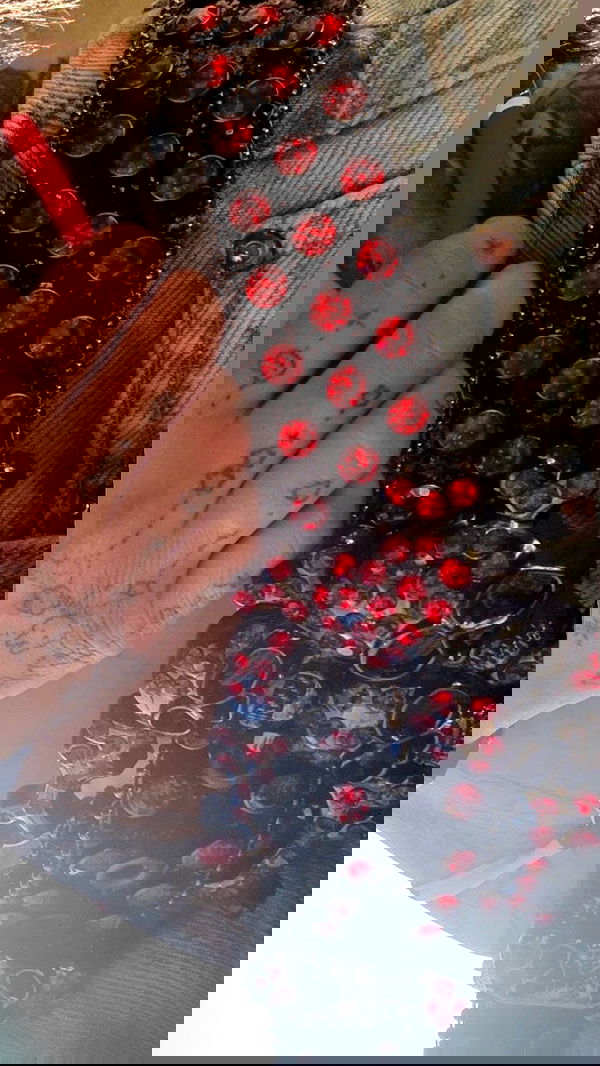 zommmbri image ~ Altpins