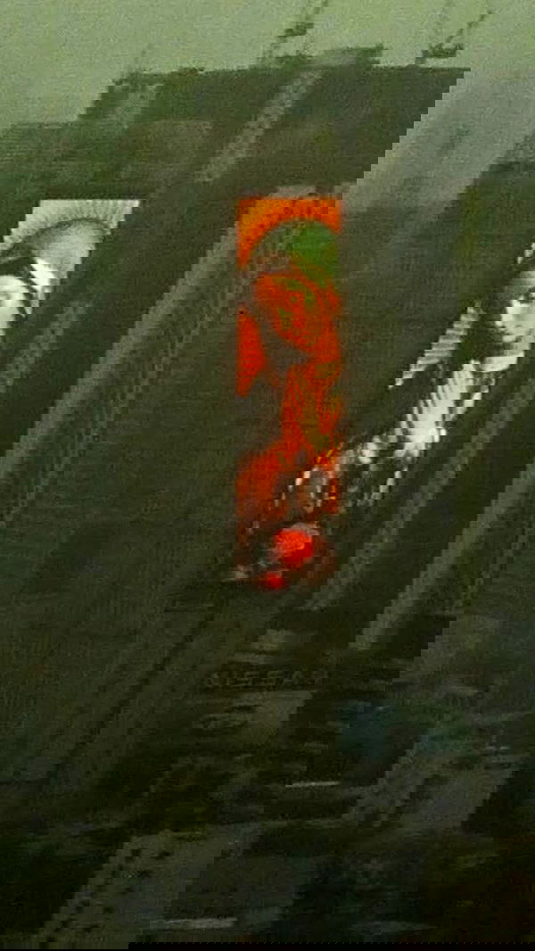 zommmbri image ~ Altpins