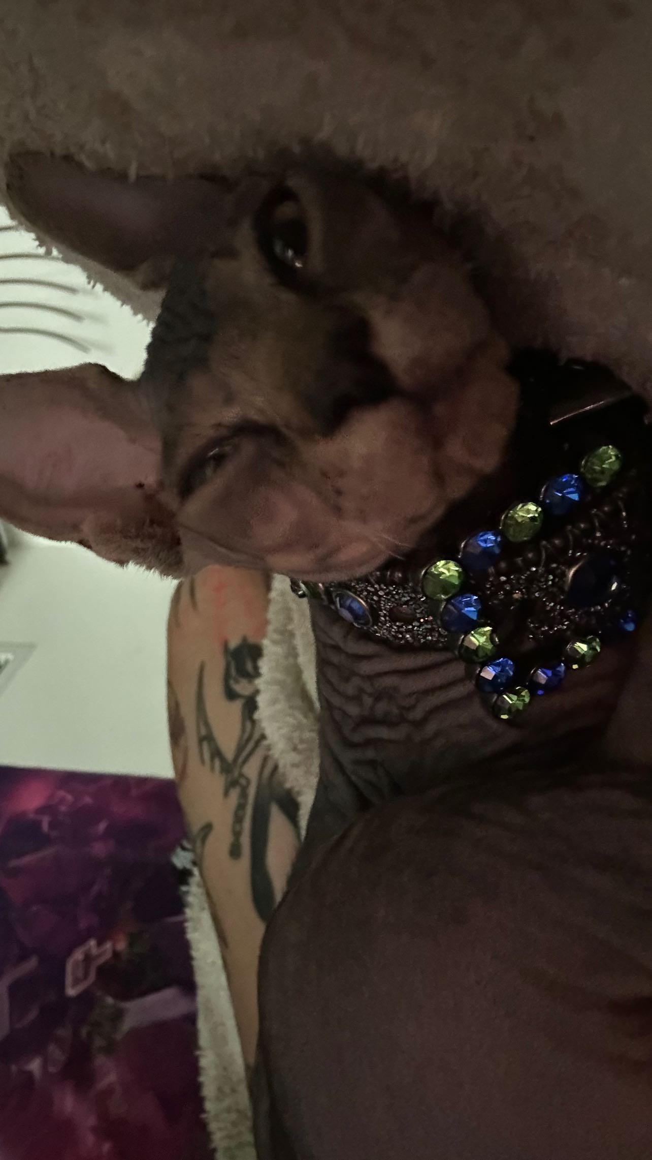 zommmbri instagram image archive image