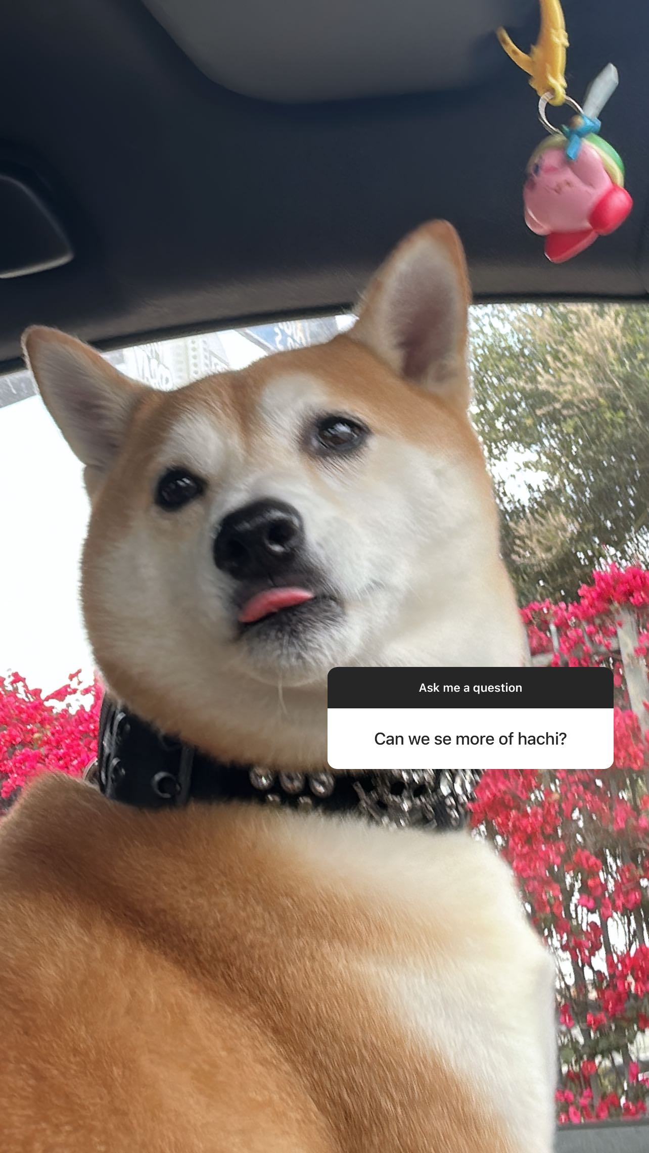 zommmbri instagram image archive image