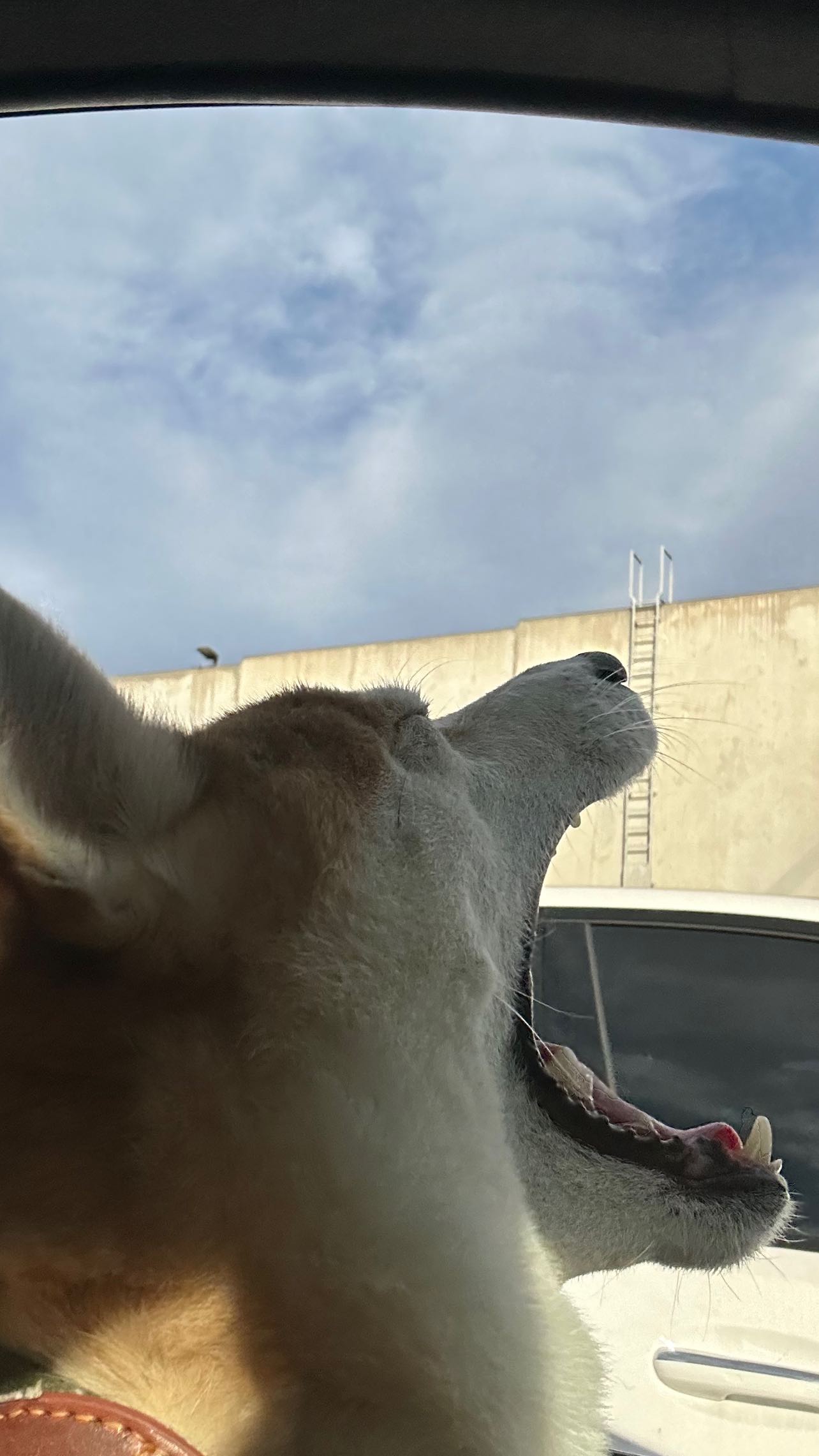 zommmbri instagram image archive image