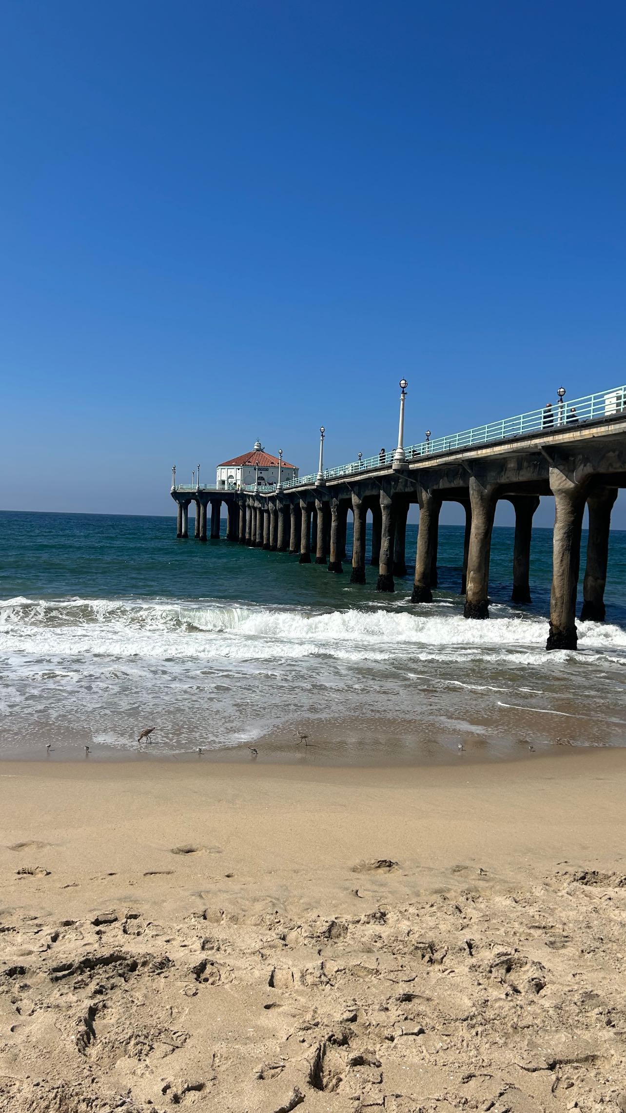 zommmbri instagram image archive image