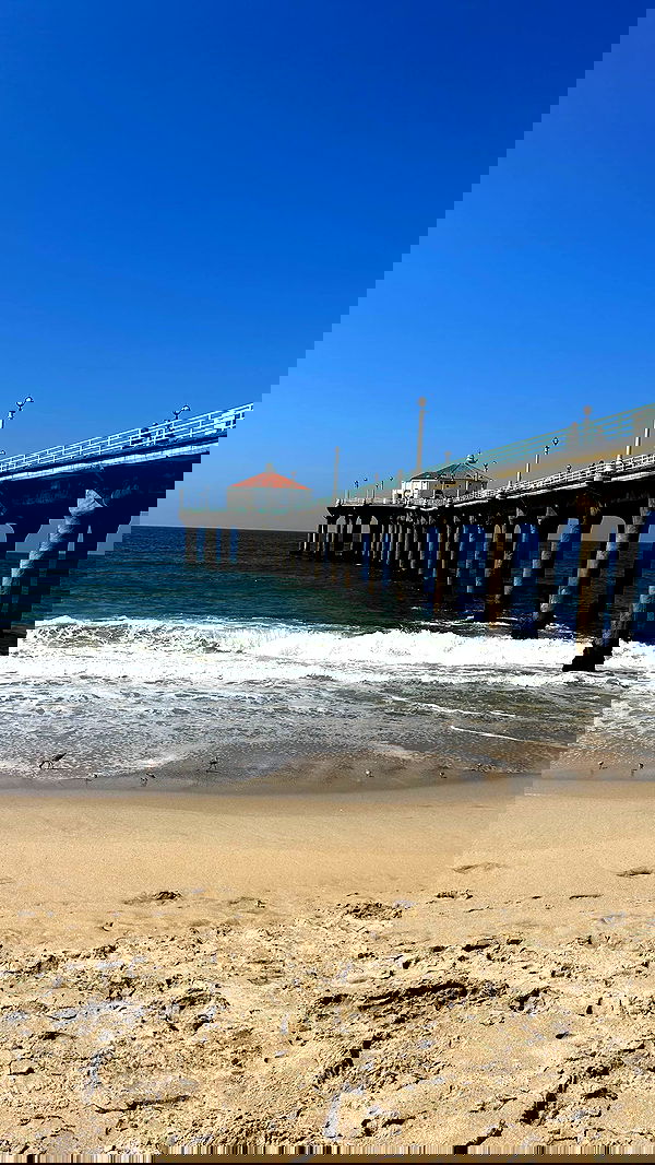 zommmbri image ~ Altpins