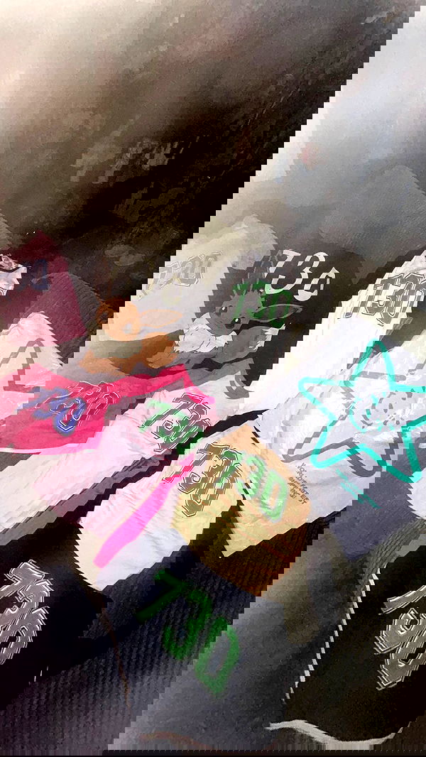 zommmbri image ~ Altpins