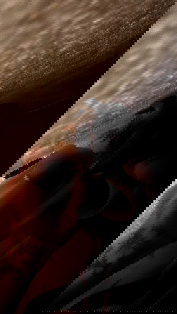 zommmbri image ~ Altpins