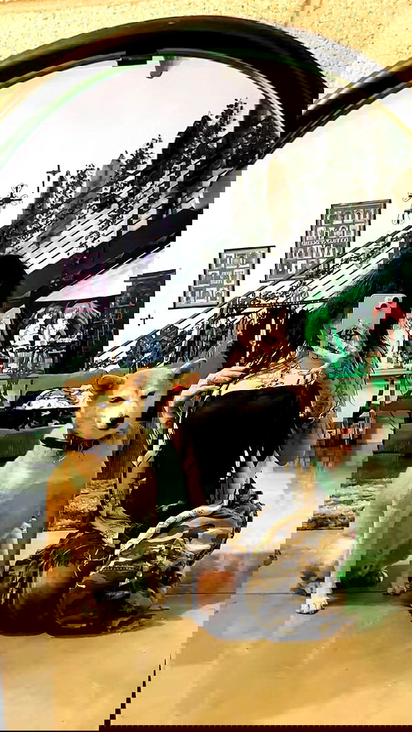 zommmbri image ~ Altpins