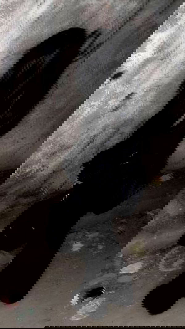 zommmbri image ~ Altpins