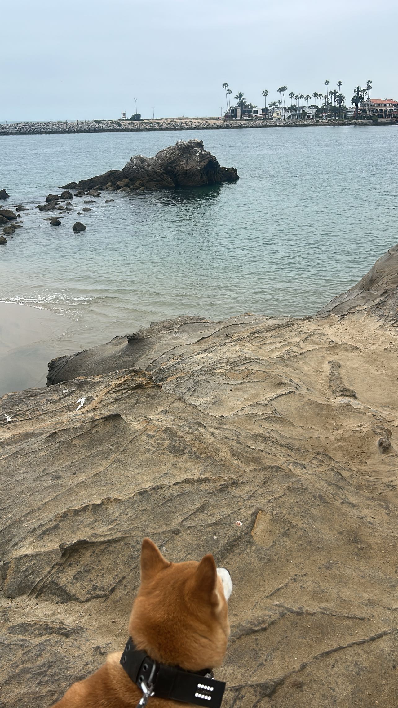 zommmbri instagram image archive image