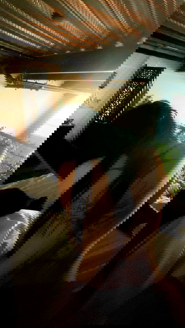 zommmbri image ~ Altpins