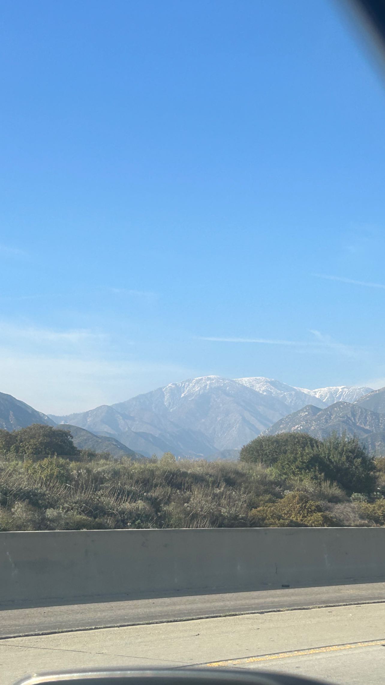 zommmbri instagram image archive image