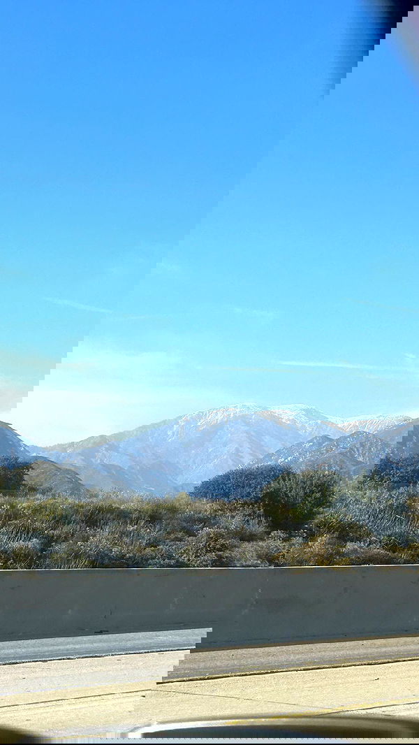 zommmbri image ~ Altpins