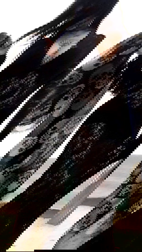 zommmbri image ~ Altpins