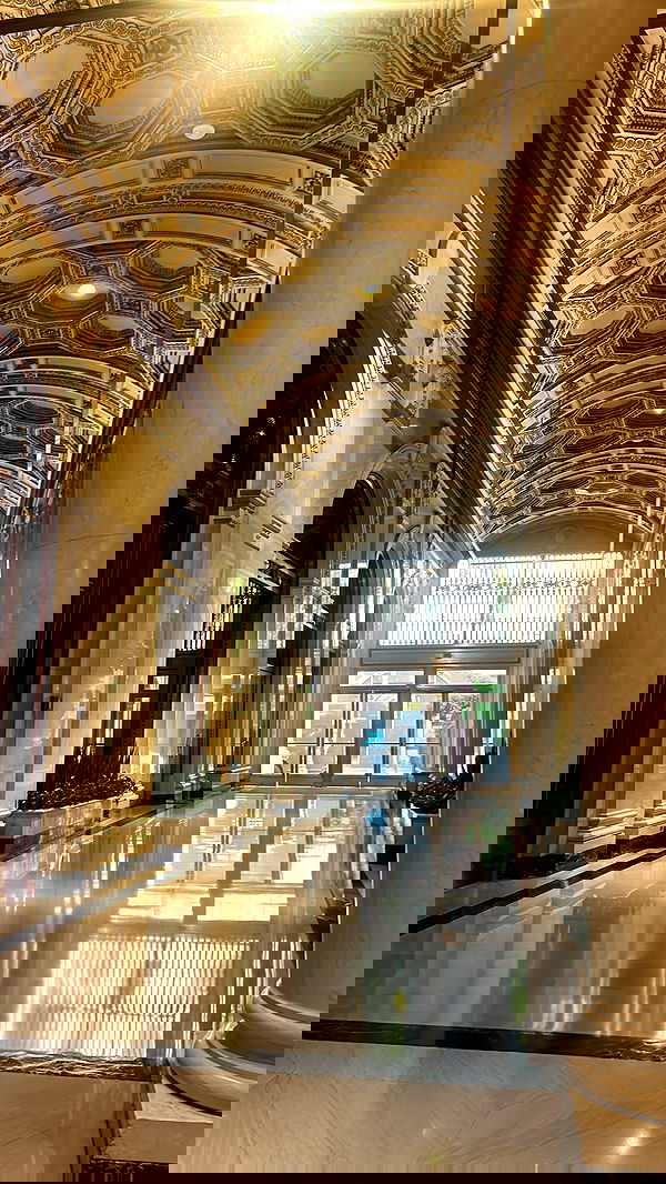 zommmbri image ~ Altpins