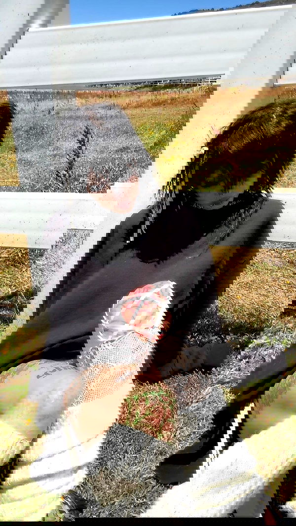 zommmbri image ~ Altpins