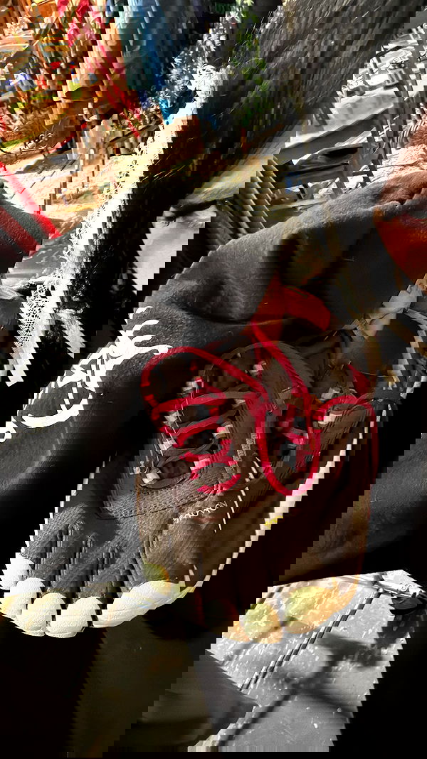 zommmbri image ~ Altpins