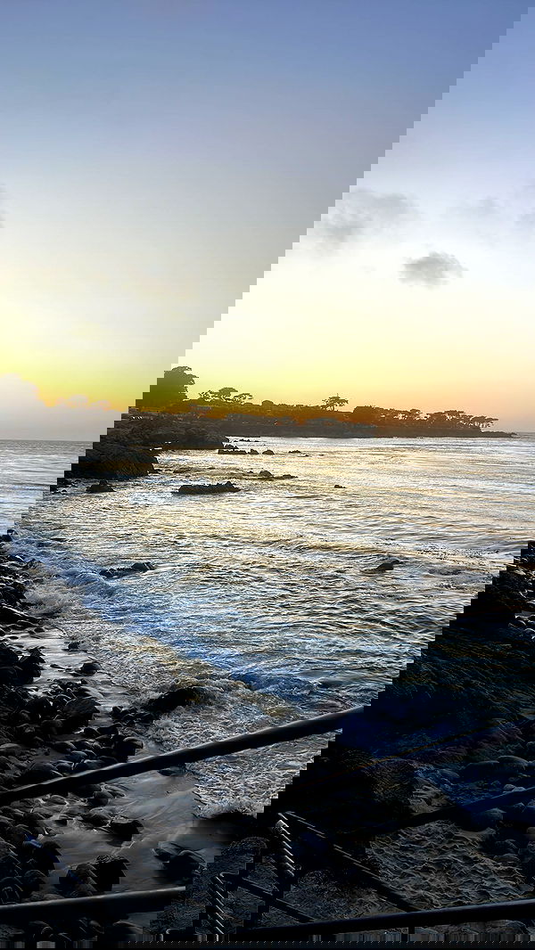 zommmbri image ~ Altpins