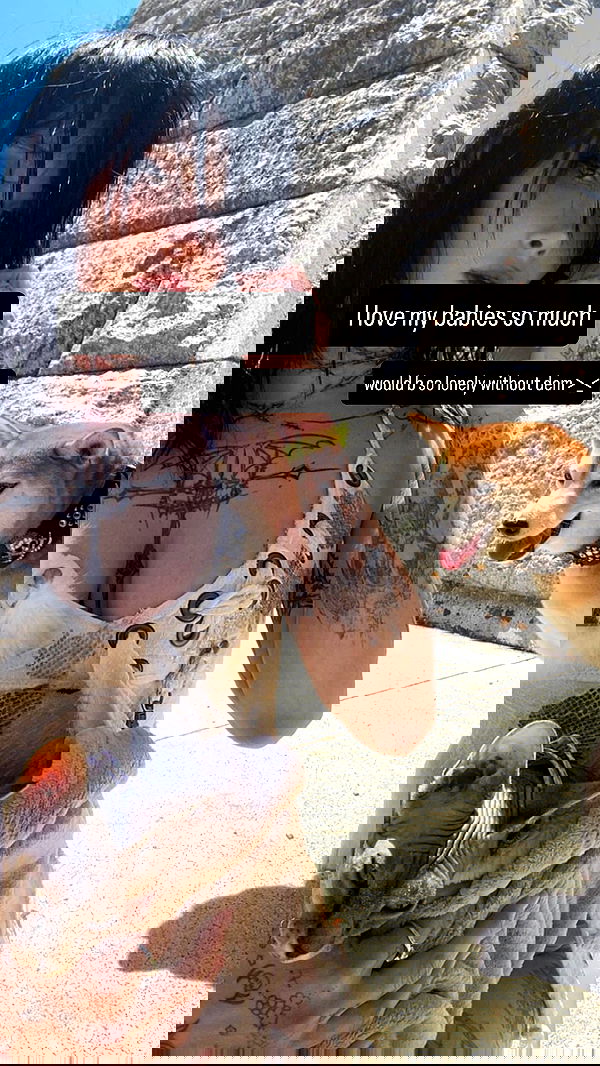 zommmbri image ~ Altpins