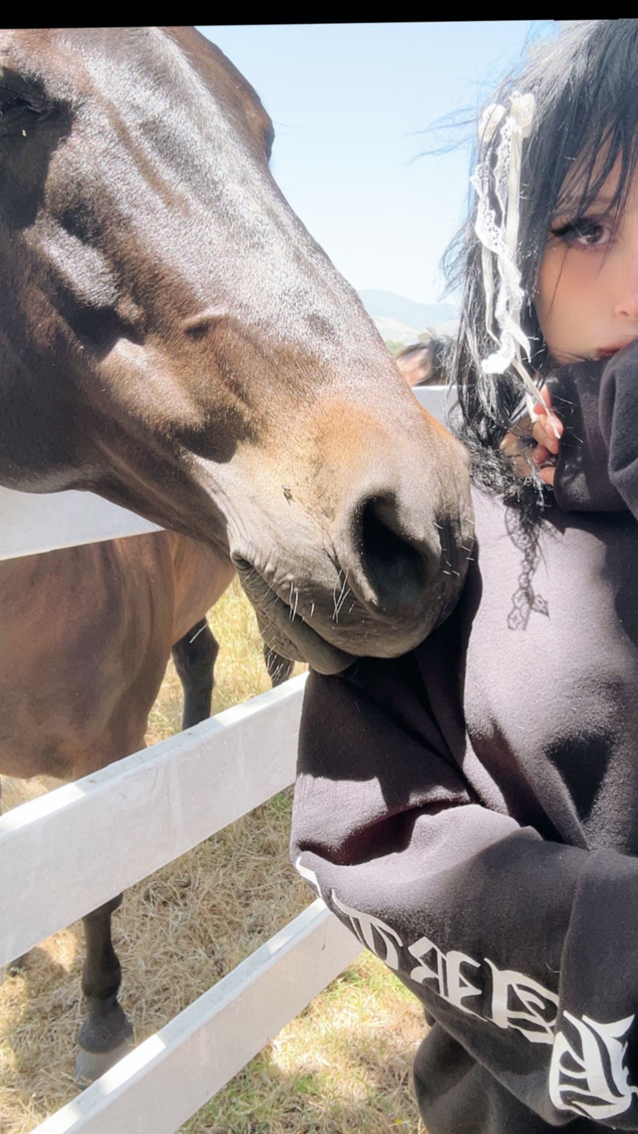 zommmbri instagram image archive image