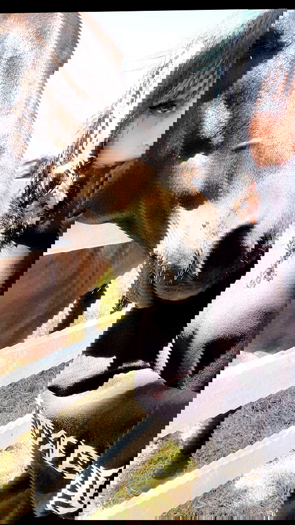 zommmbri image ~ Altpins