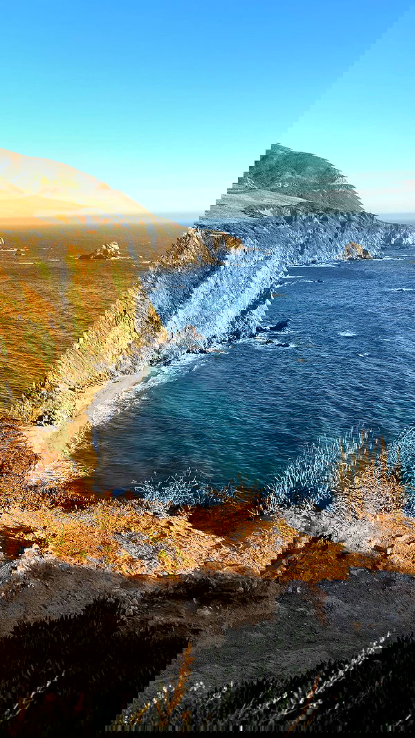 zommmbri image ~ Altpins