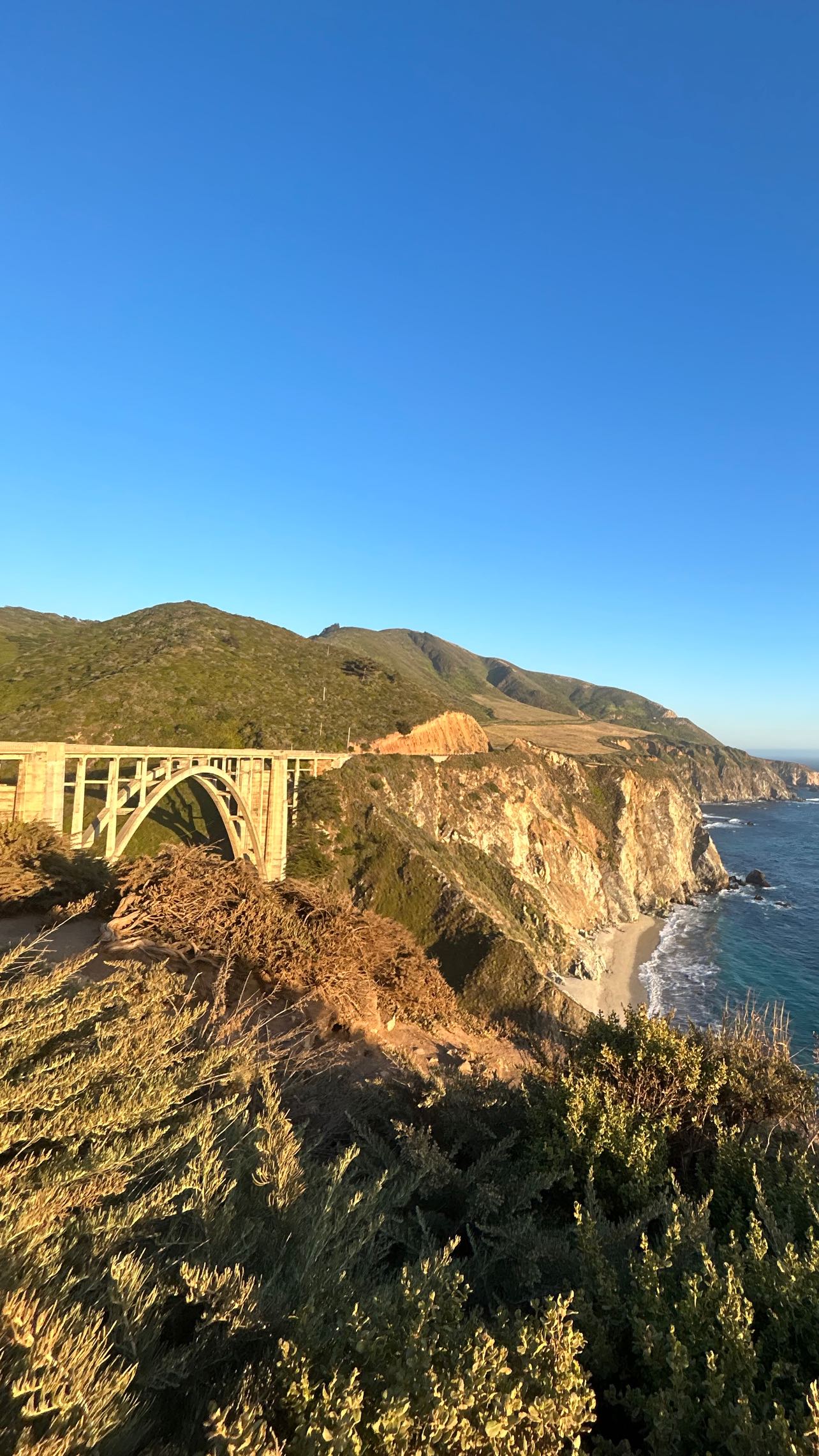 zommmbri instagram image archive image