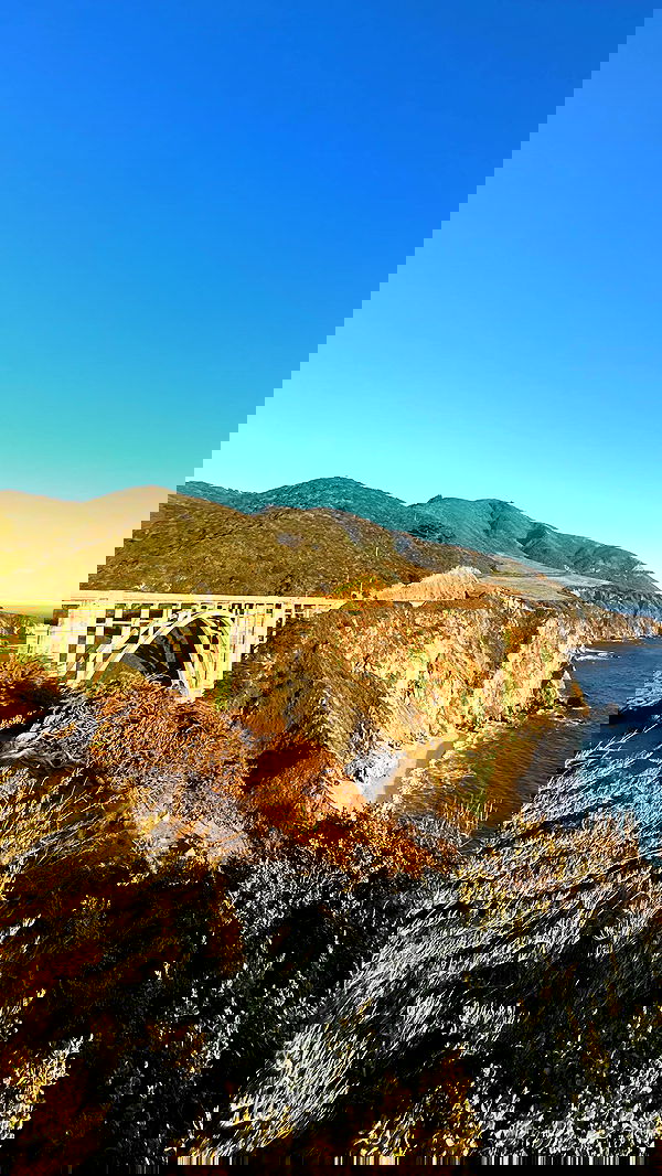 zommmbri image ~ Altpins