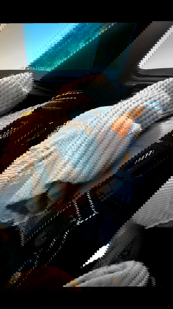 zommmbri image ~ Altpins