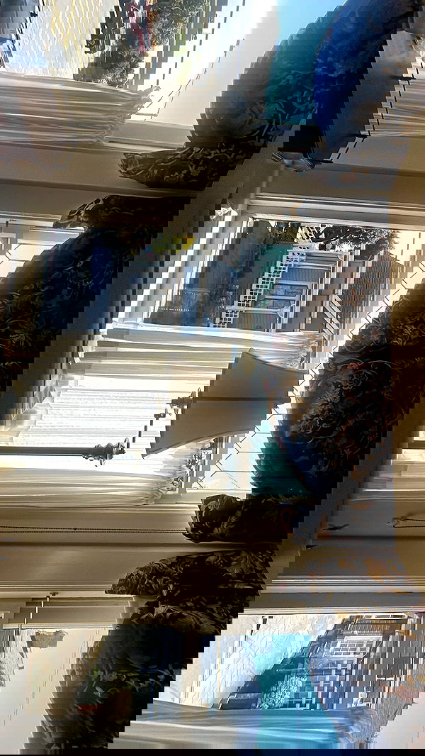 zommmbri image ~ Altpins