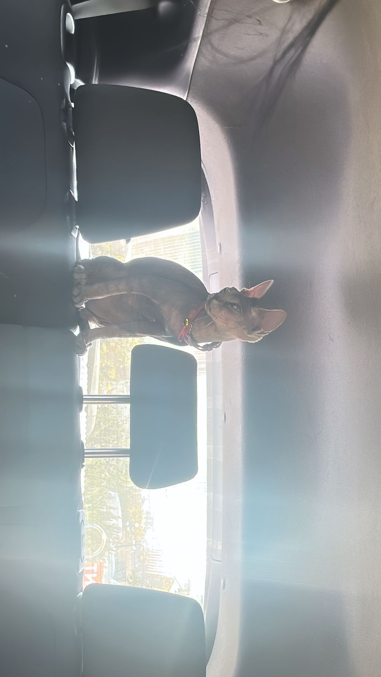 zommmbri instagram image archive image