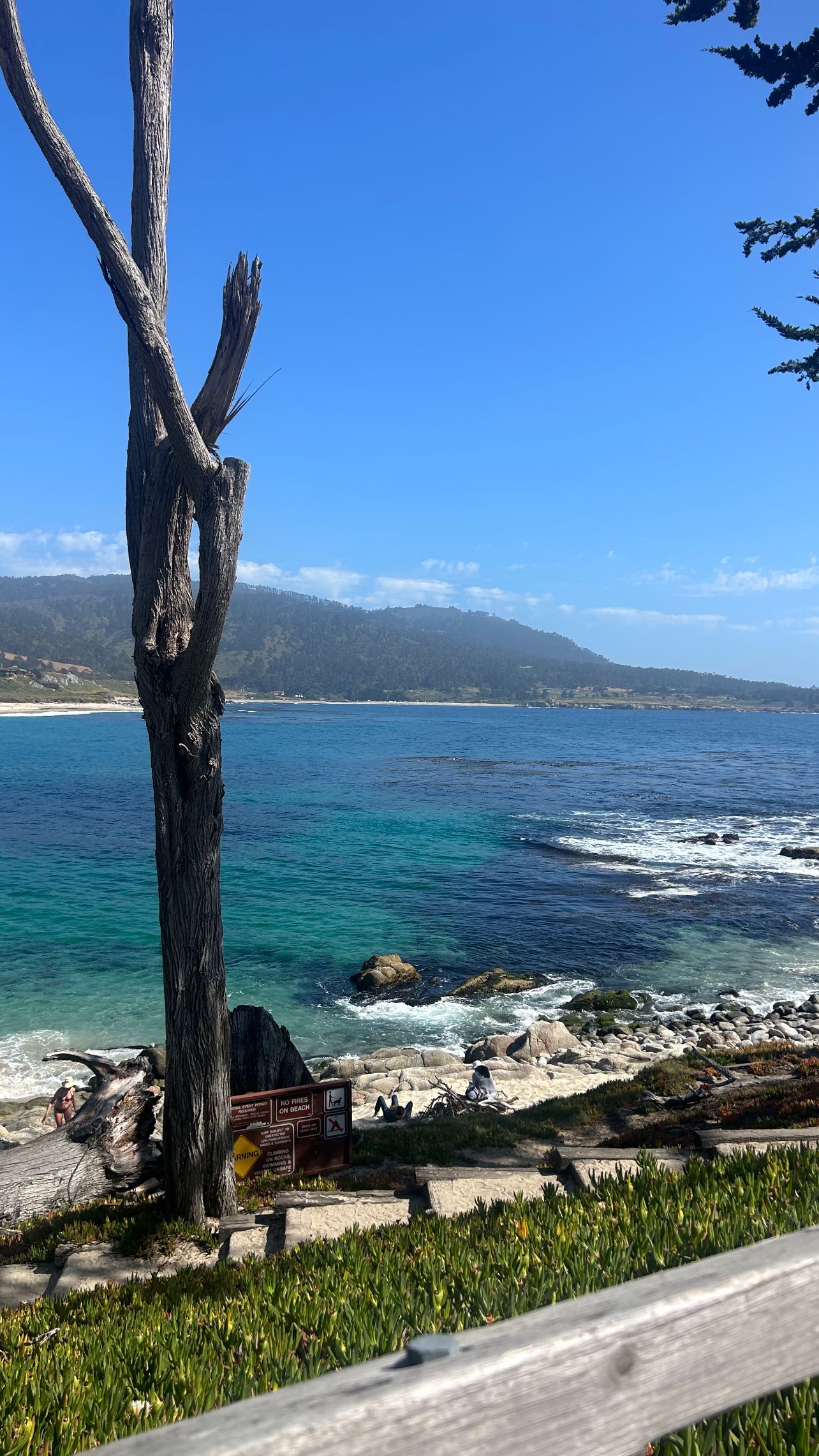 zommmbri instagram image archive image