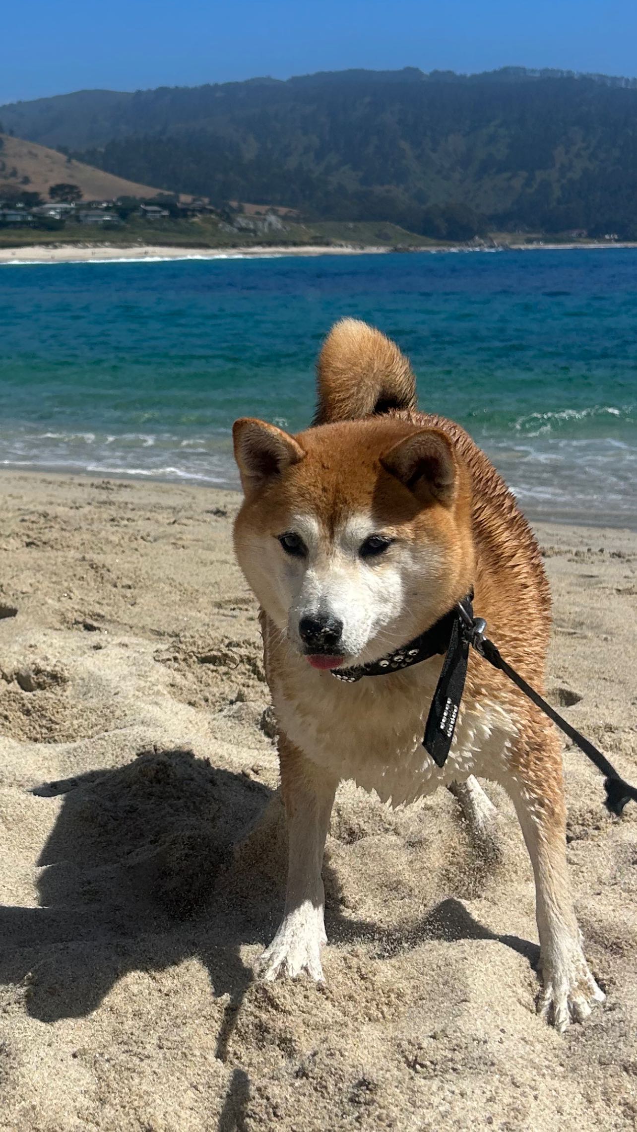 zommmbri instagram image archive image