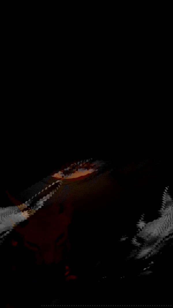 zommmbri image ~ Altpins