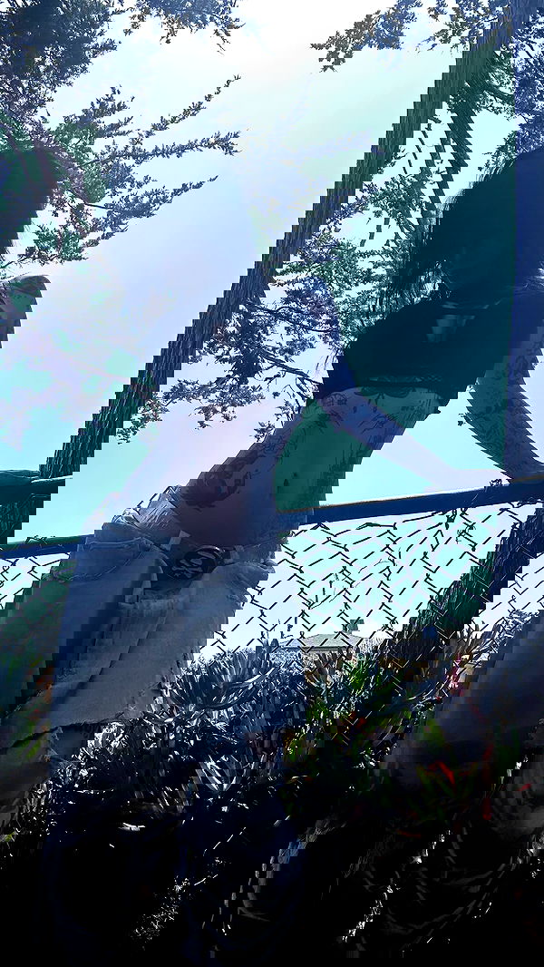 zommmbri image ~ Altpins