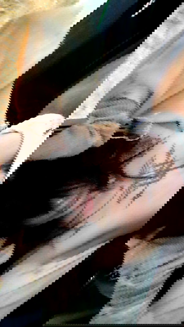 zommmbri image ~ Altpins