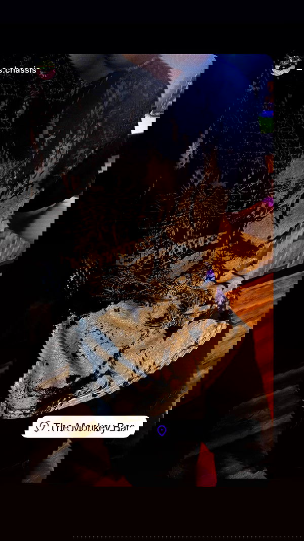 zommmbri image ~ Altpins