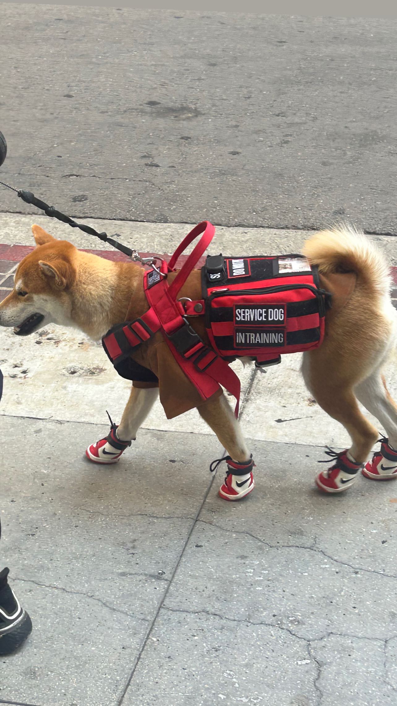 zommmbri instagram image archive image