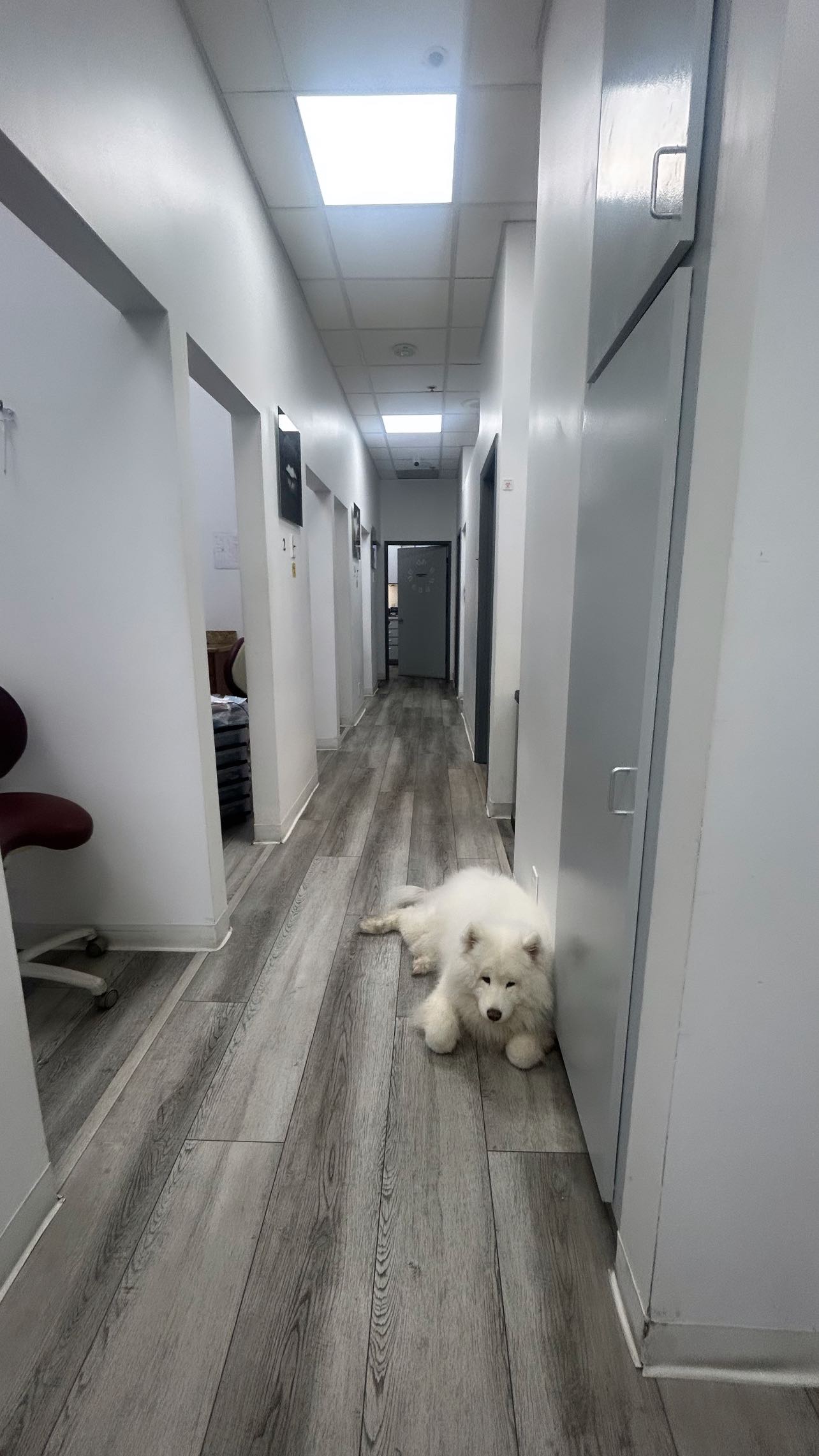 zommmbri instagram image archive image