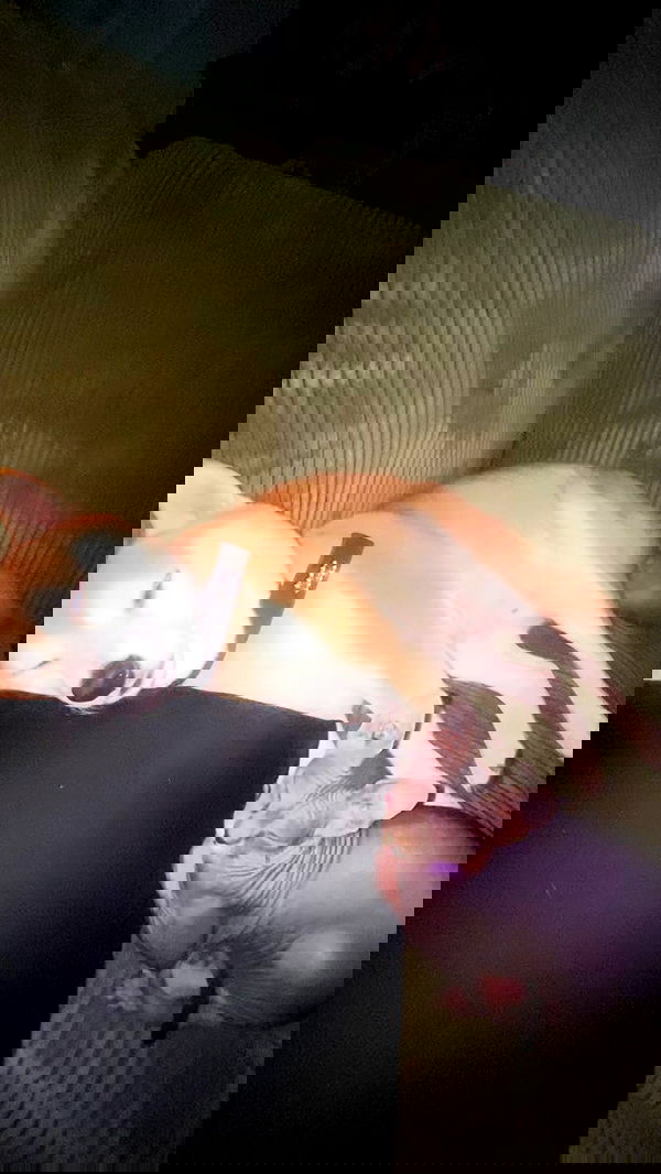 zommmbri image ~ Altpins