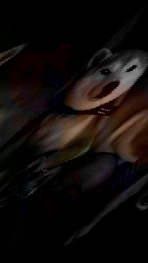 zommmbri image ~ Altpins