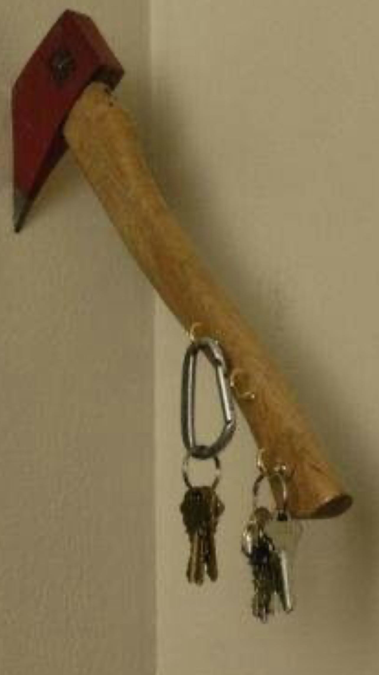 zommmbri instagram image archive image