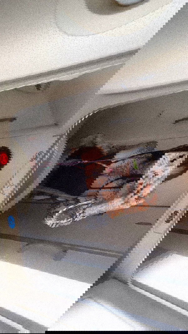 zommmbri image ~ Altpins