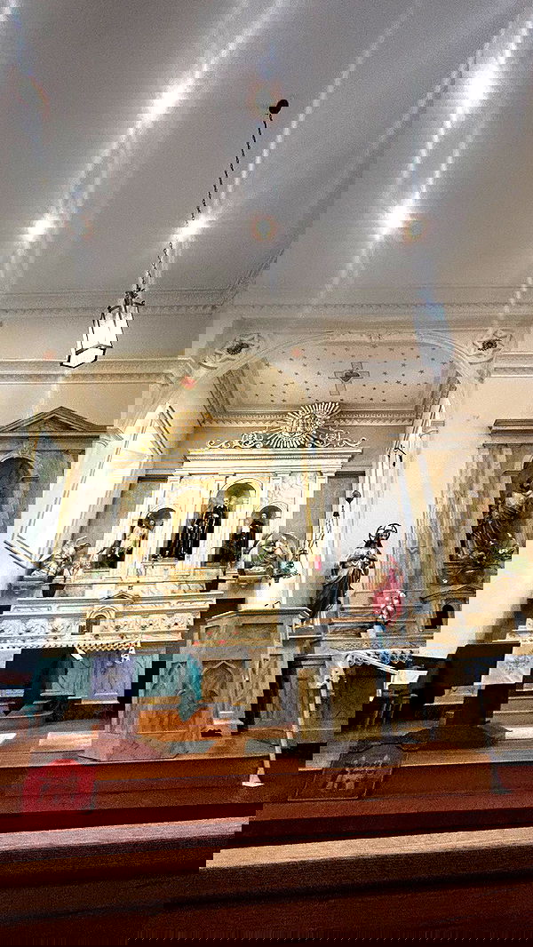 zommmbri image ~ Altpins