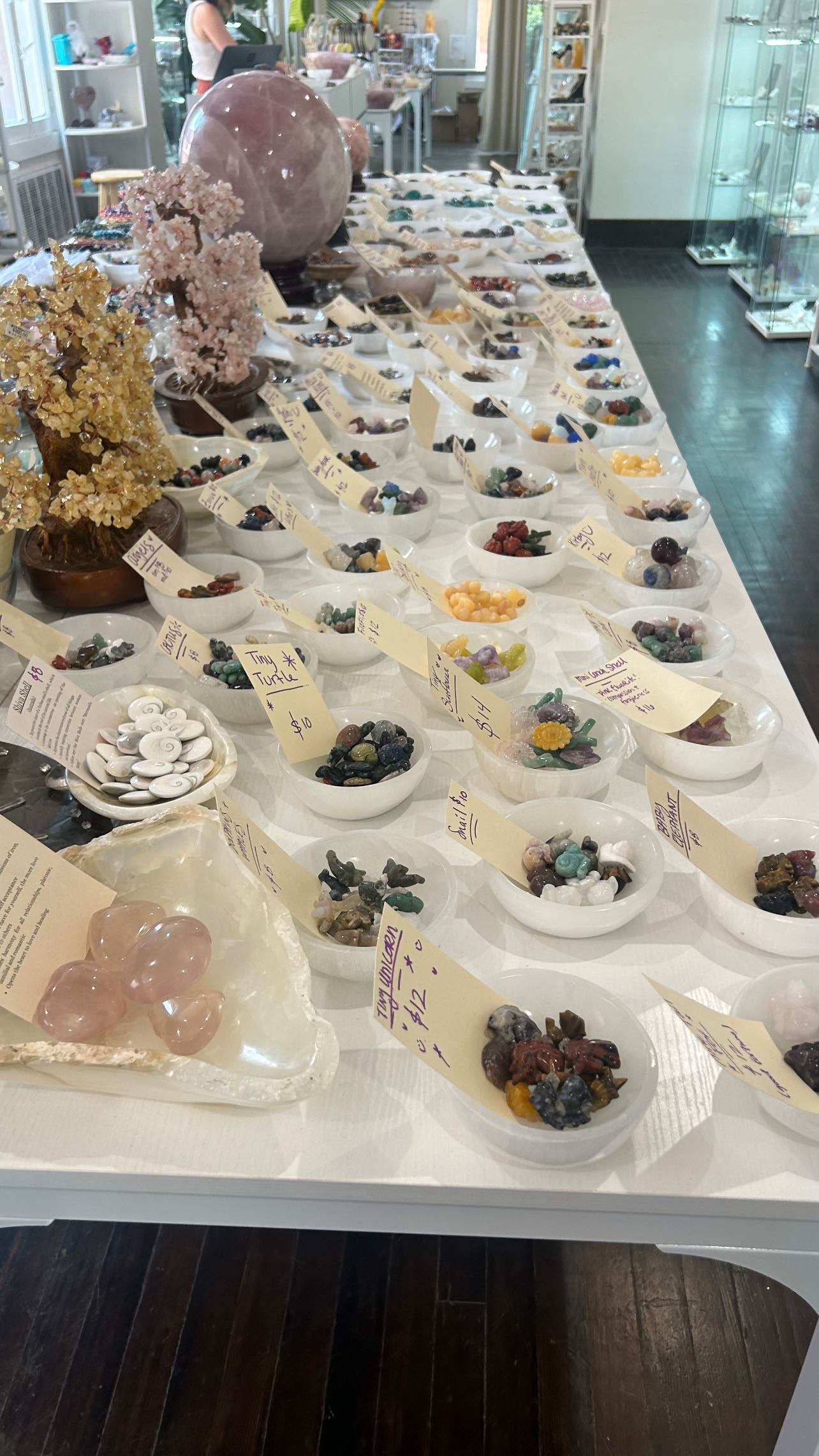 zommmbri instagram image archive image