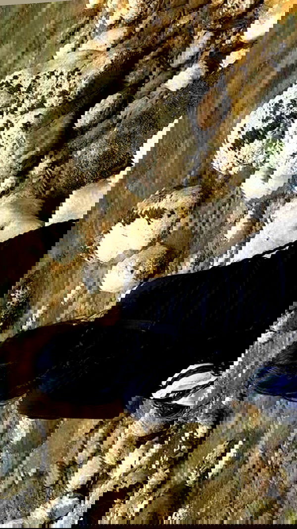 zommmbri image ~ Altpins