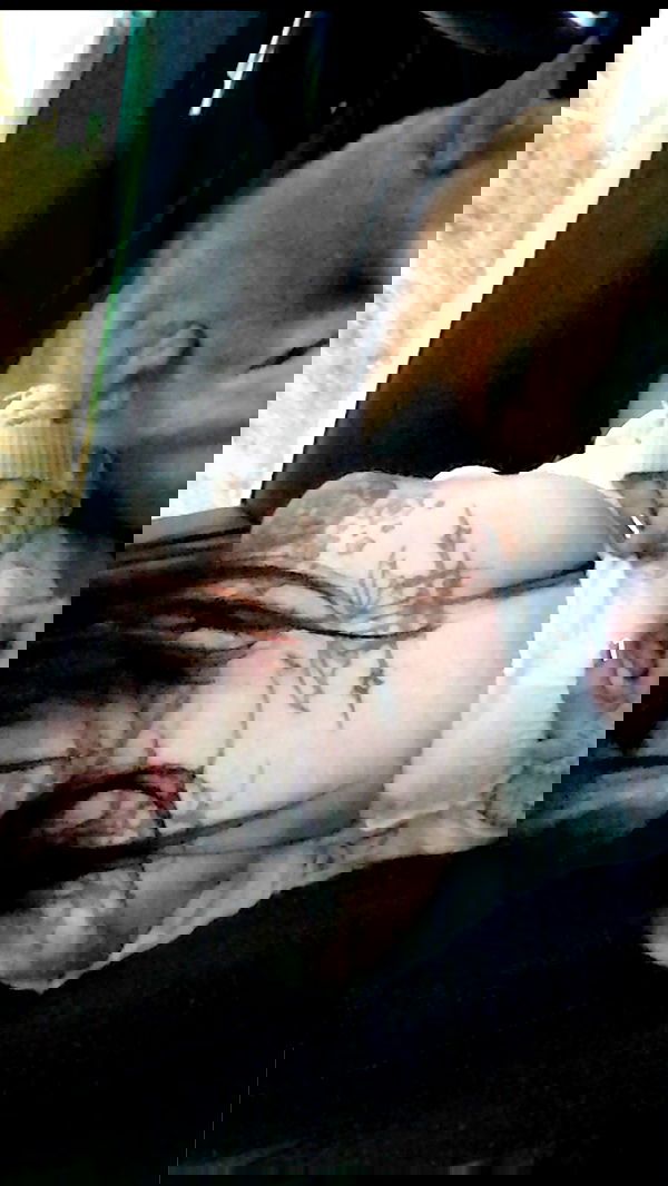 zommmbri image ~ Altpins